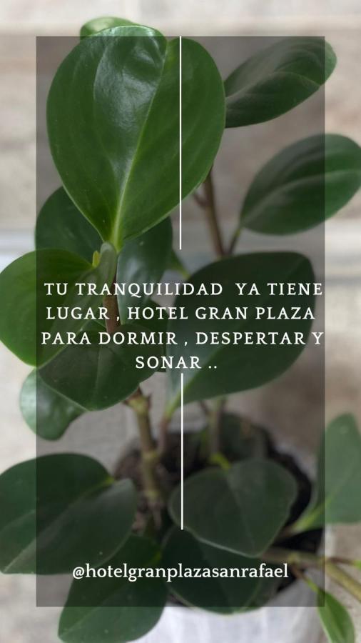 Hotel Gran Plaza San Rafael San Rafael  Luaran gambar